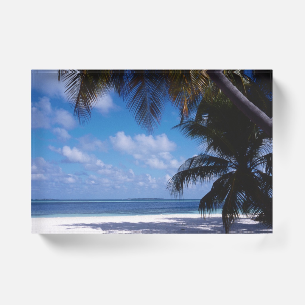 椰子の木の木陰-0101,アクリルブロック