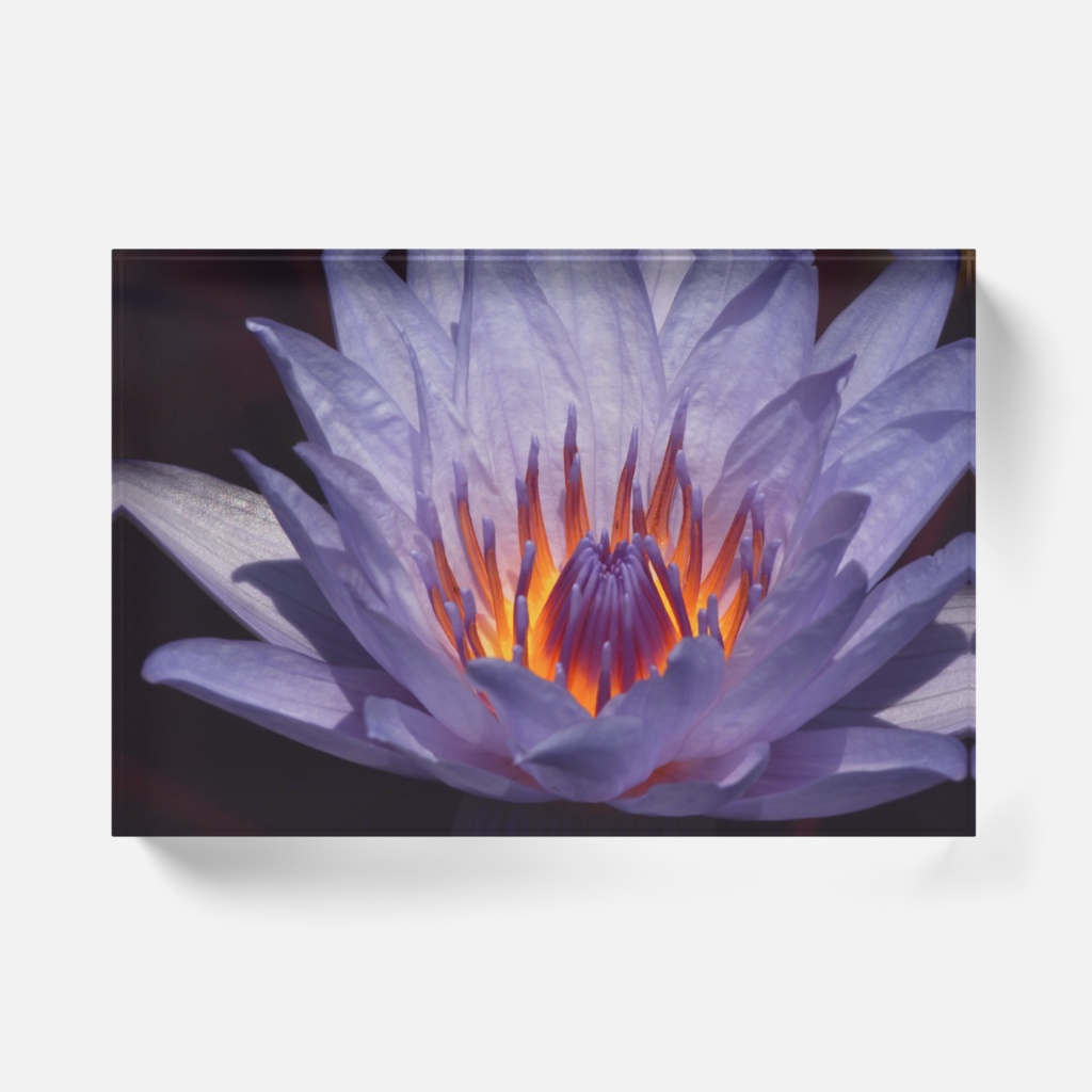 フェアリーテール-0134,アクリルブロック