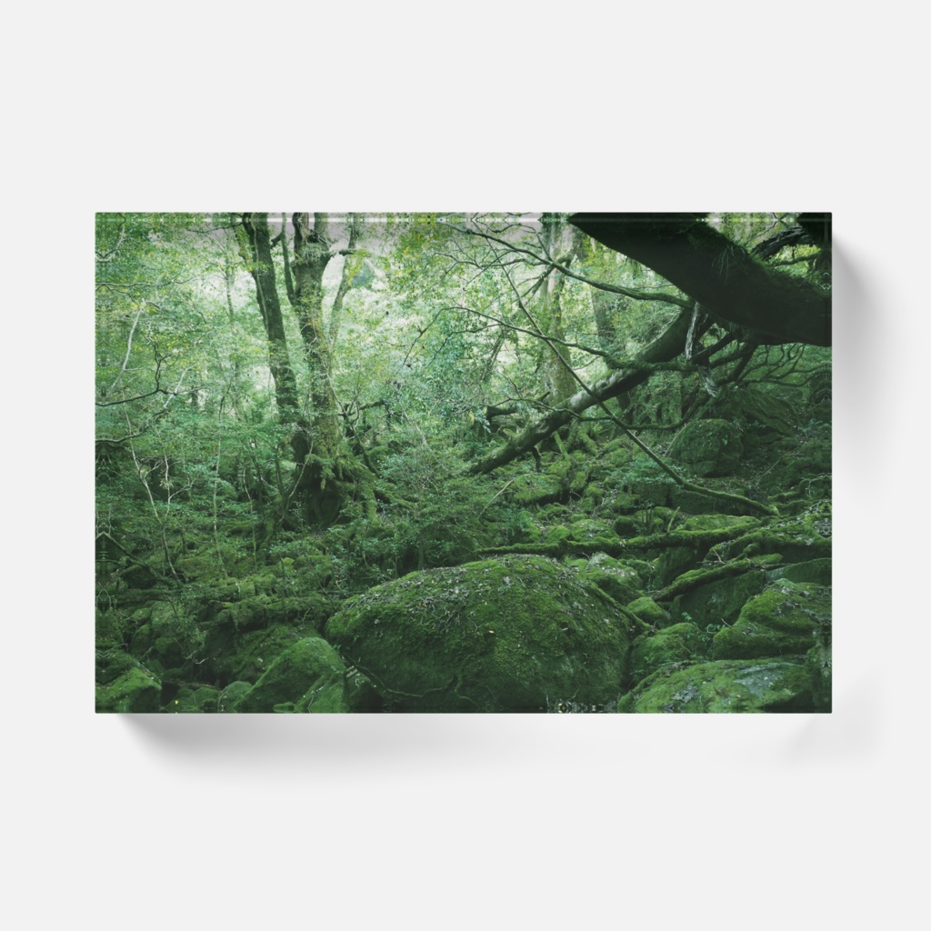 白谷雲水峡-0135,アクリルブロック