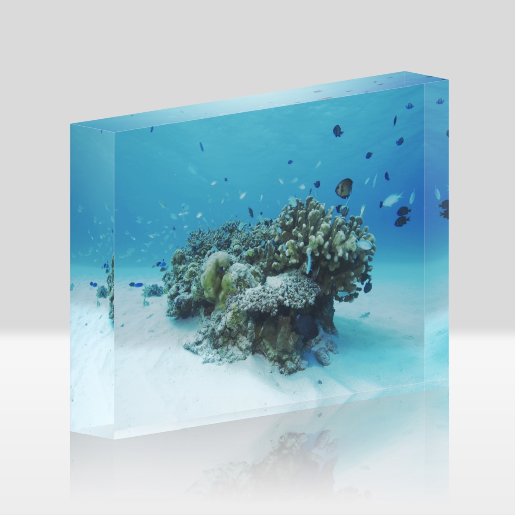 白砂のサンゴ-0136、アクリルブロック