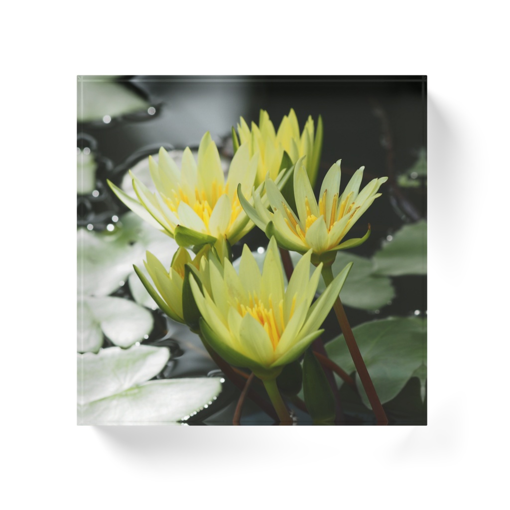 フェアリーテール-0132、アクリルブロック