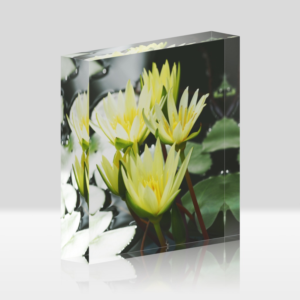 フェアリーテール-0132、アクリルブロック