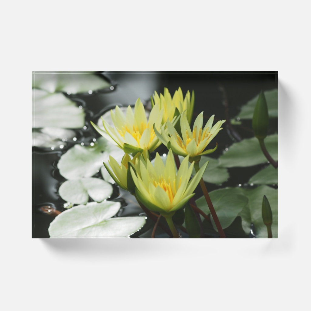 フェアリーテール-0132-Y、アクリルブロック