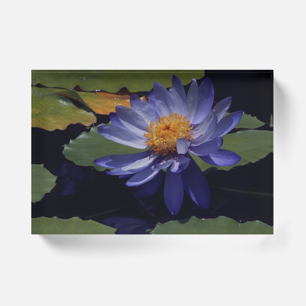 フェアリーテール-0133-Y、アクリルブロック