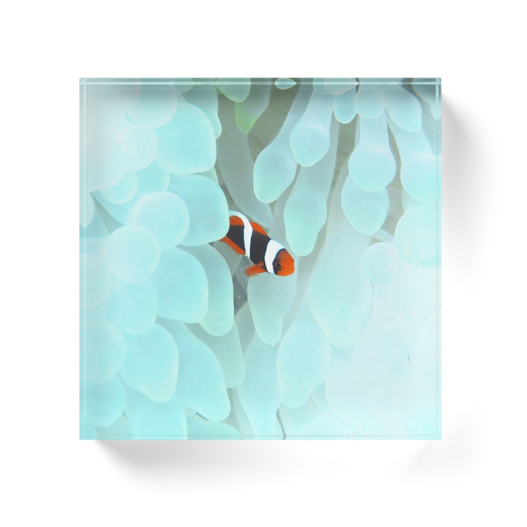 かくれんぼ-0161,アクリルブロック