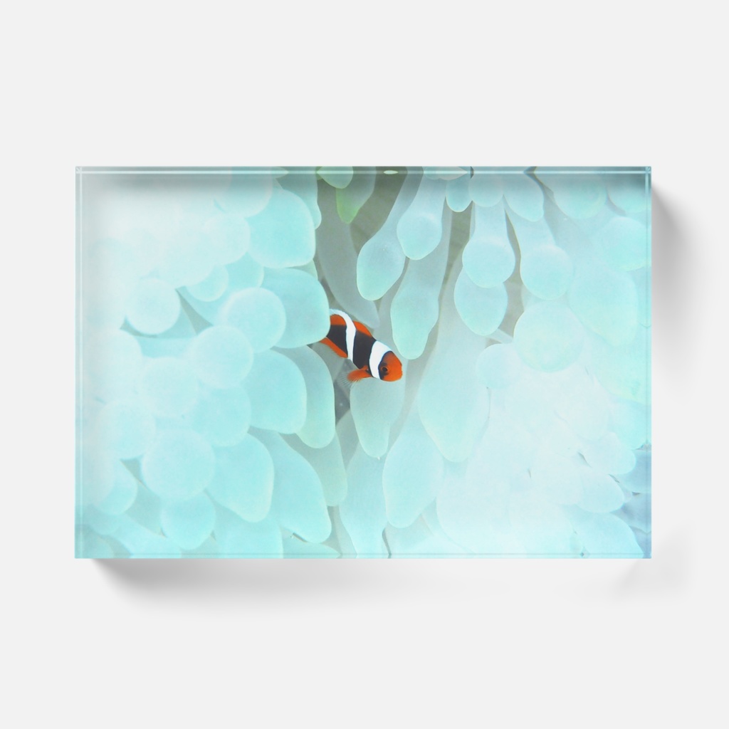 かくれんぼ-0161-Y、アクリルブロック