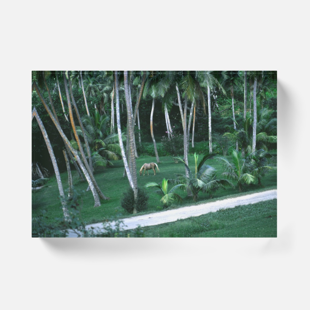 ココティエの小径-045,アクリルブロック