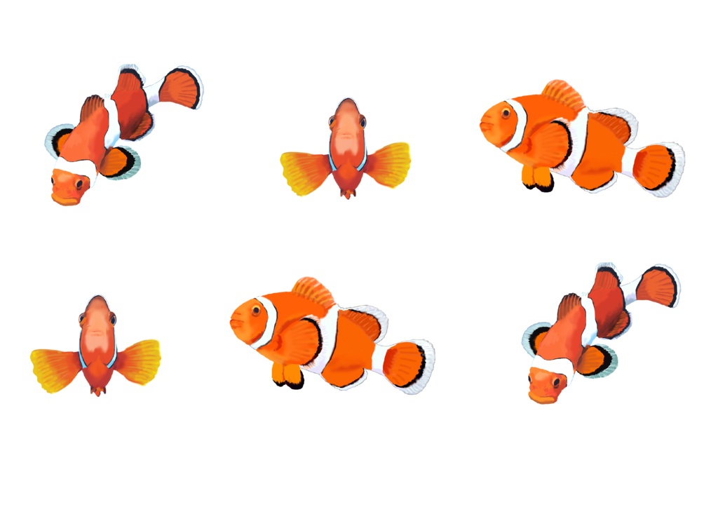 クマノミ−03MT-30