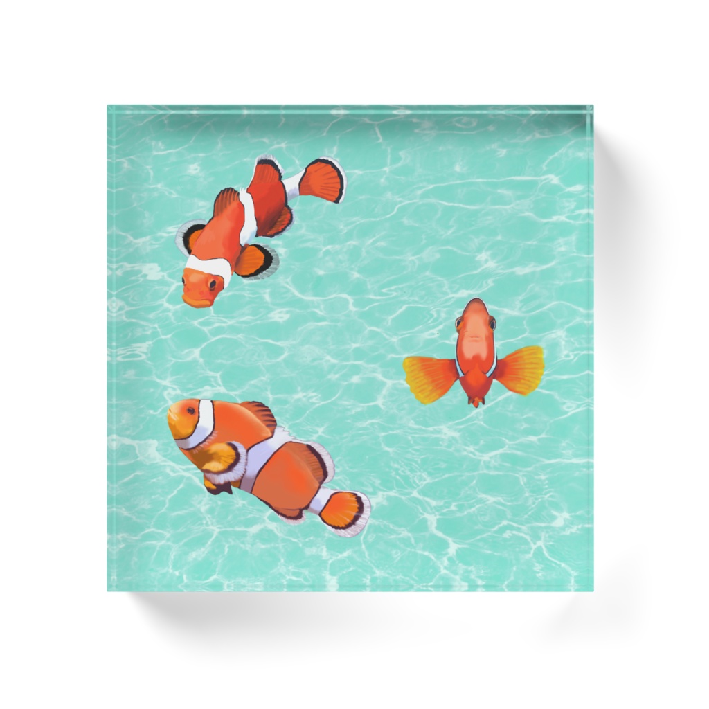 クマノミ-03アクリル