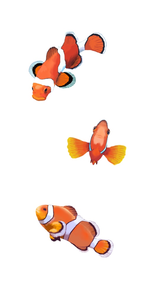 クマノミ-03渚iPケース