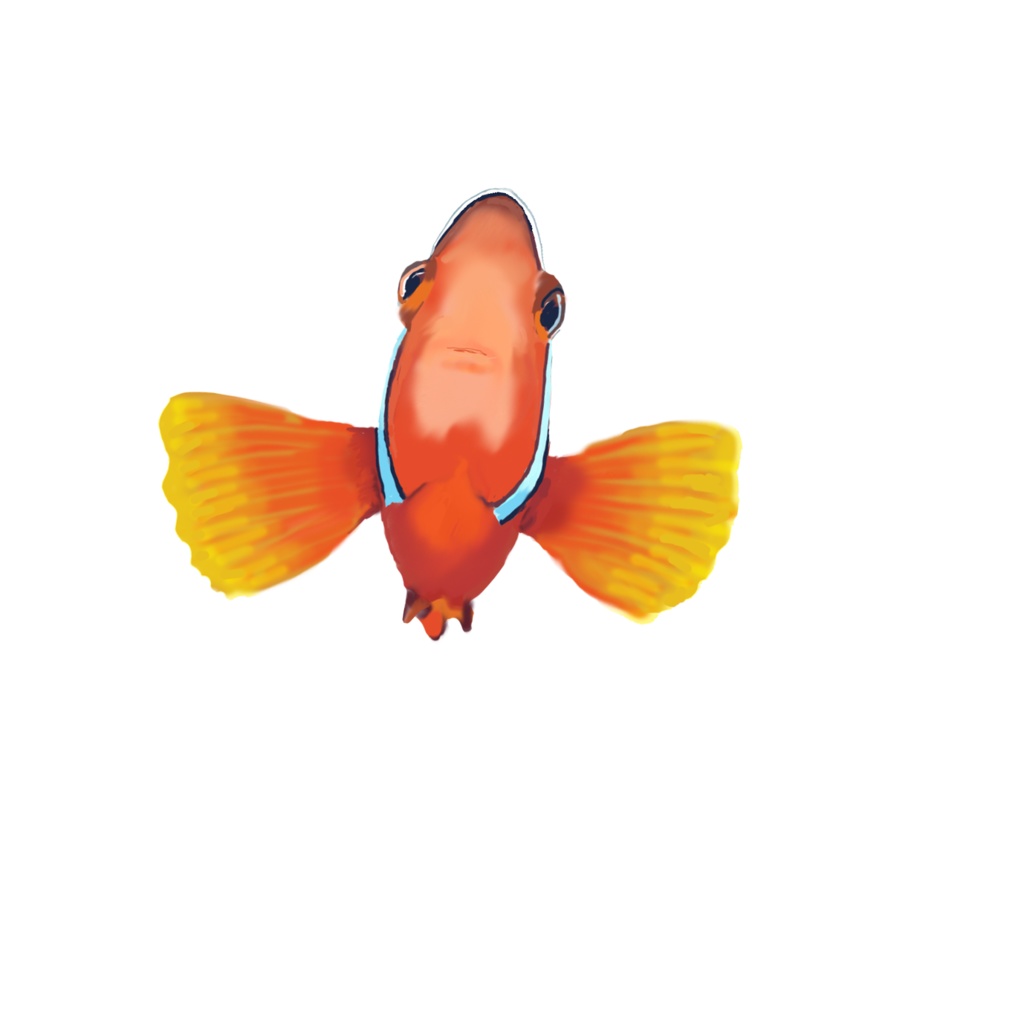 クマノミ01-2T白