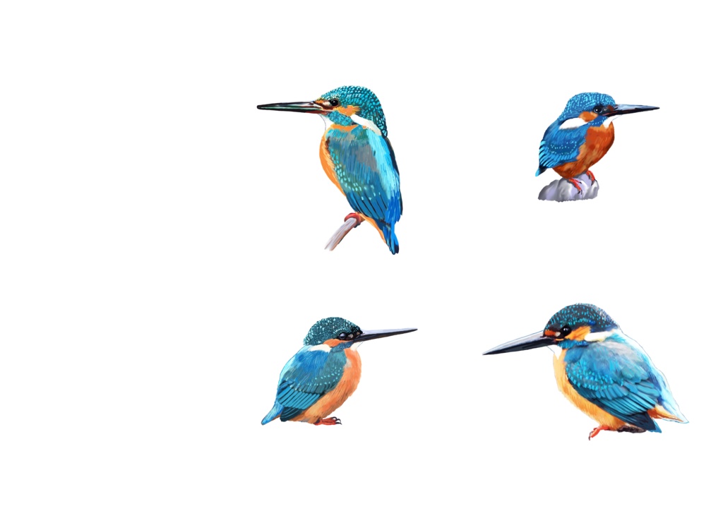 カワセミ白-04スマホベルト付き