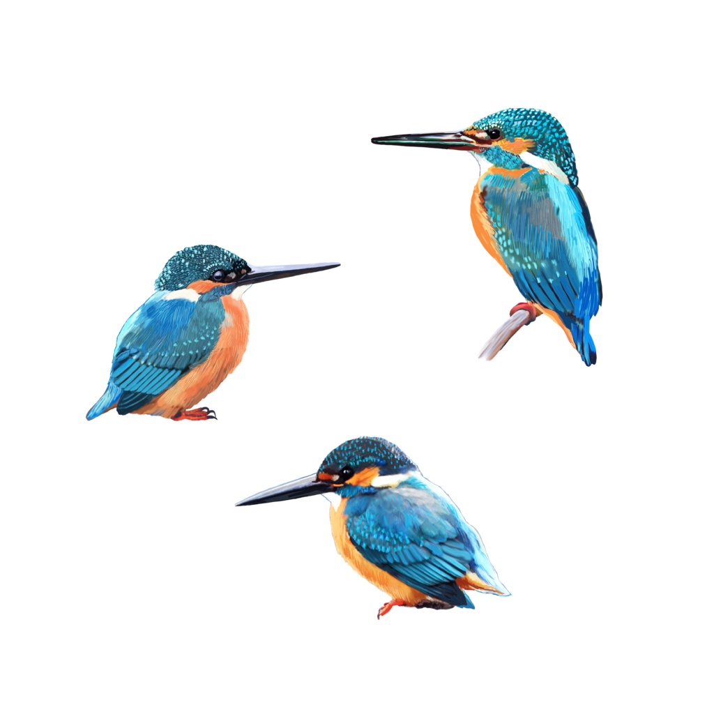 カワセミ白-03スマホリング