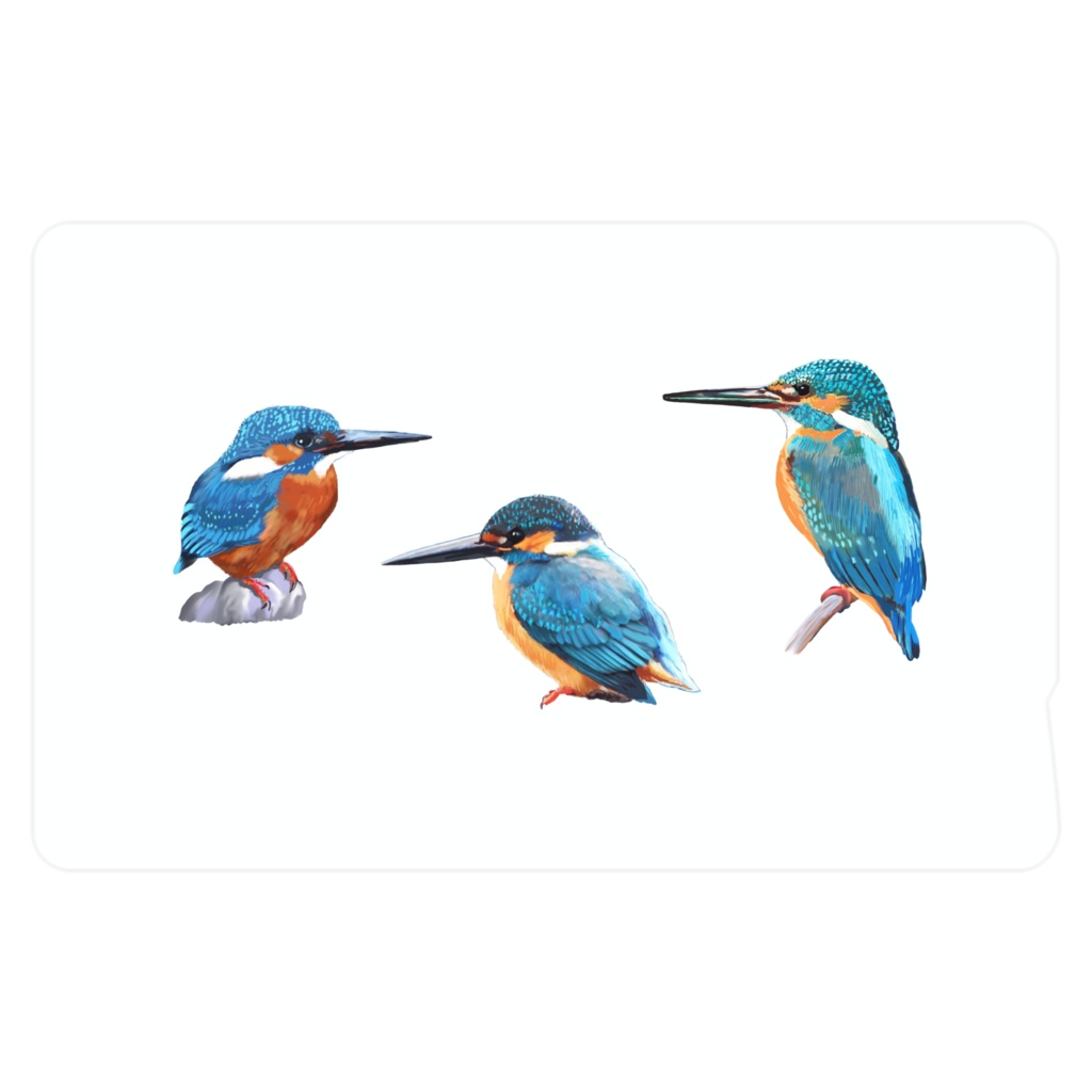 カワセミ白-03、ICカード