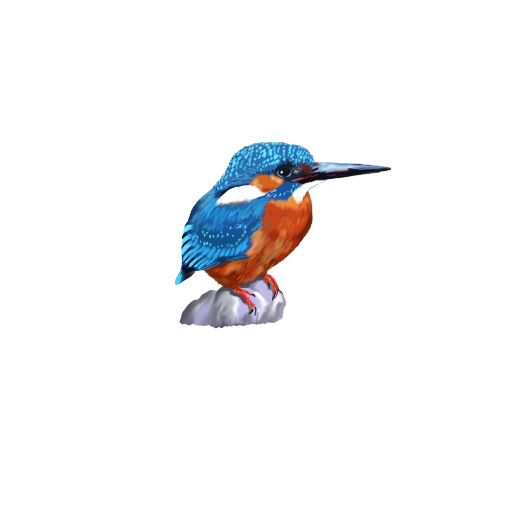 カワセミ白-02、Tシャツ