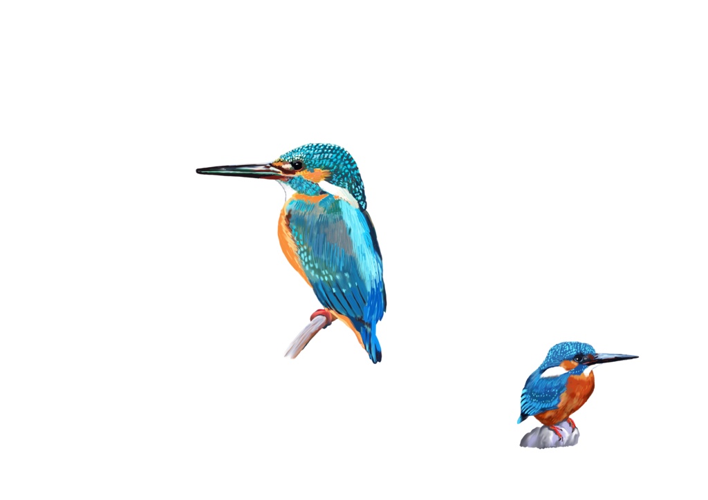 カワセミ白-2羽Androidケース