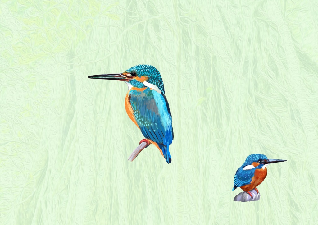 カワセミ森-2羽Androidケース、ストラップ