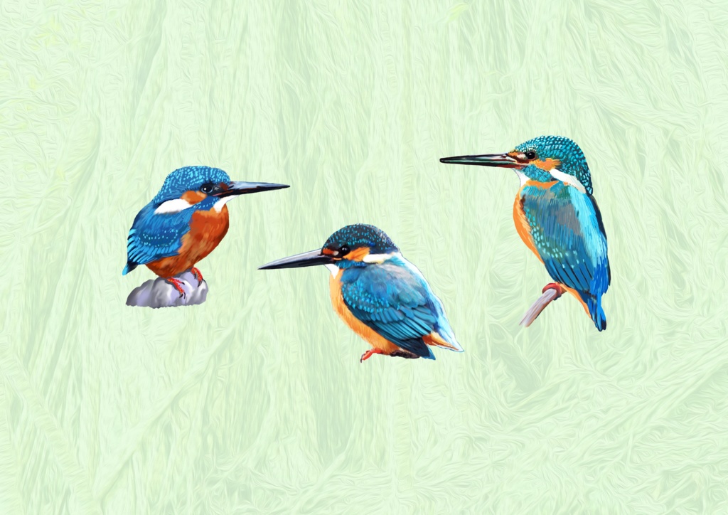 カワセミ森-03パスケース