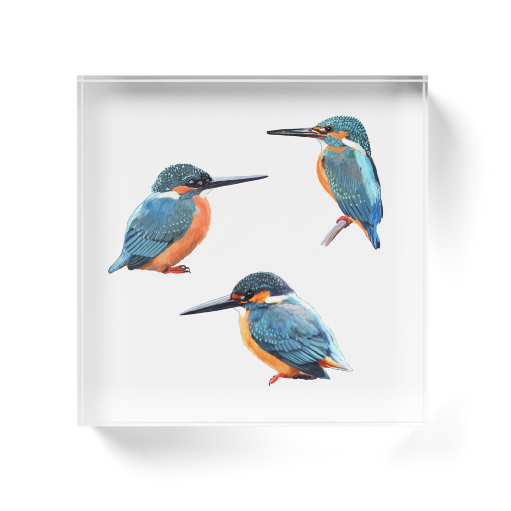 カワセミ白-03アクリルブロック