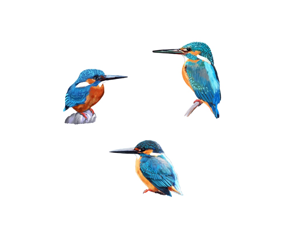 カワセミ白-03四角、アクリル時計