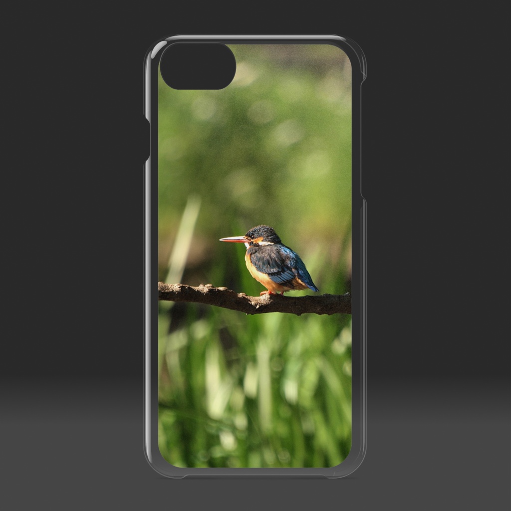 カワセミ写真-01クリアiPケース