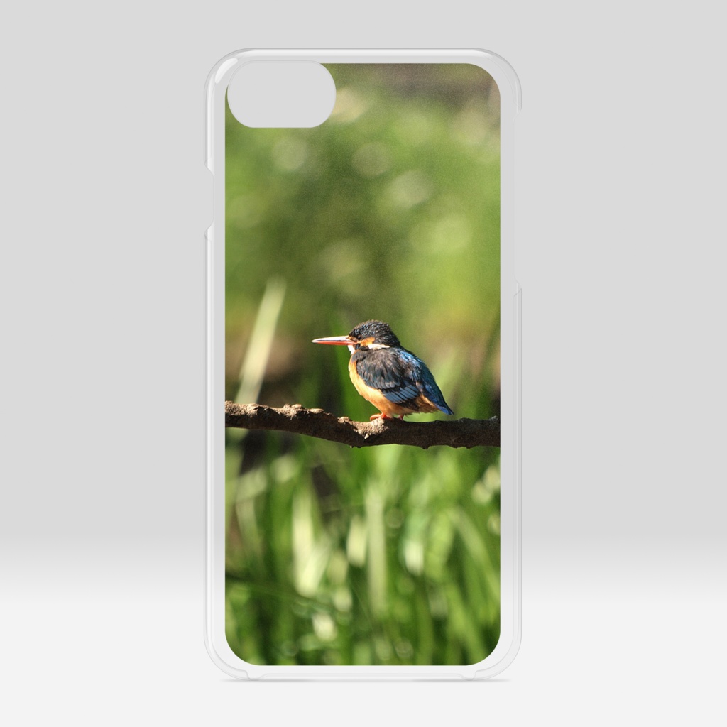 カワセミ写真-01クリアiPケース