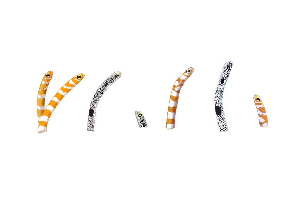 チンアナゴ、マスキングテープ