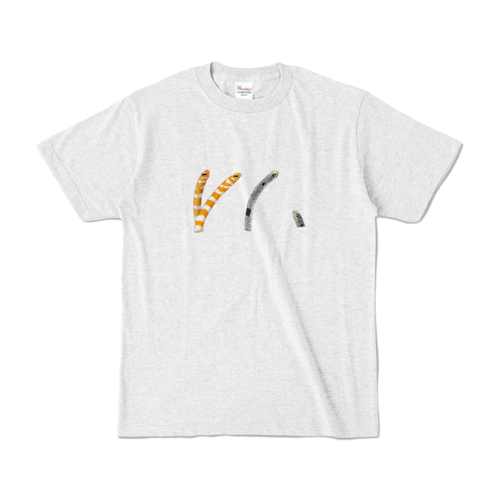 チンアナゴ、カラーTアッシュ