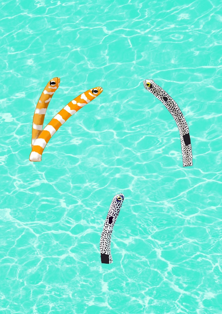 チンアナゴ渚、スマホリング