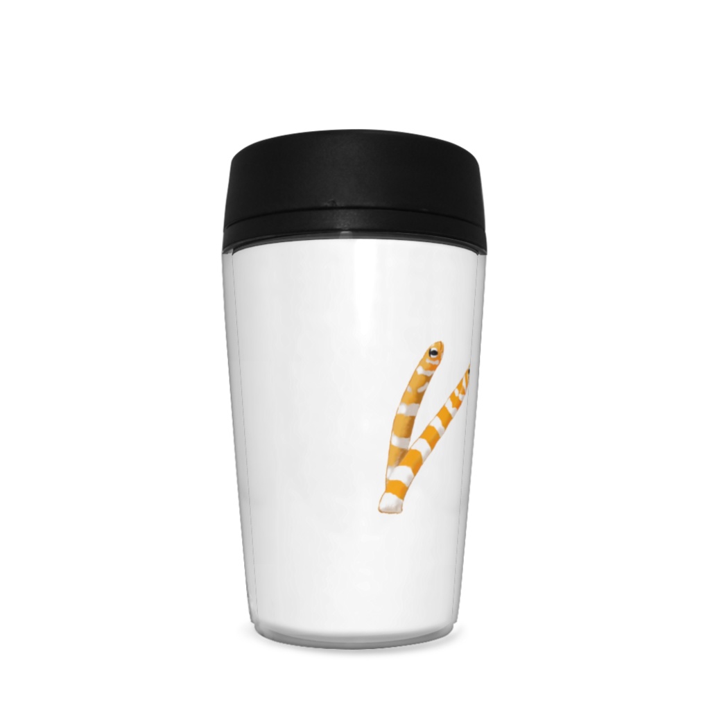 チンアナゴ、タンブラー