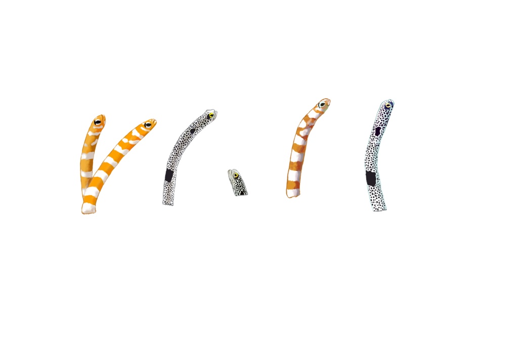 チンアナゴ、枕カバー