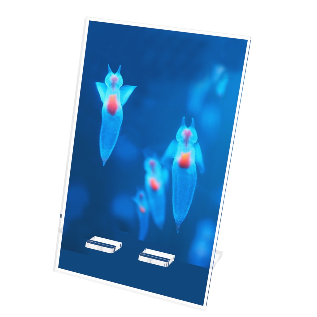 クリオネ、スマホスタンド