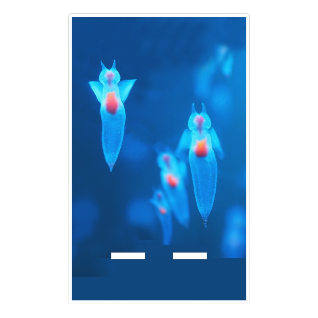 クリオネ、スマホスタンド