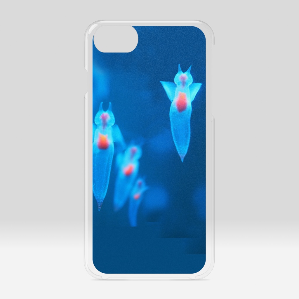 クリオネ、クリアiPケース