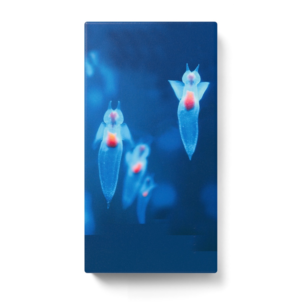 クリオネ、モバイルバッテリー