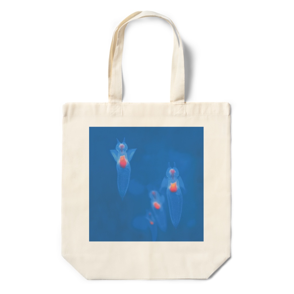 クリオネ、エコパック