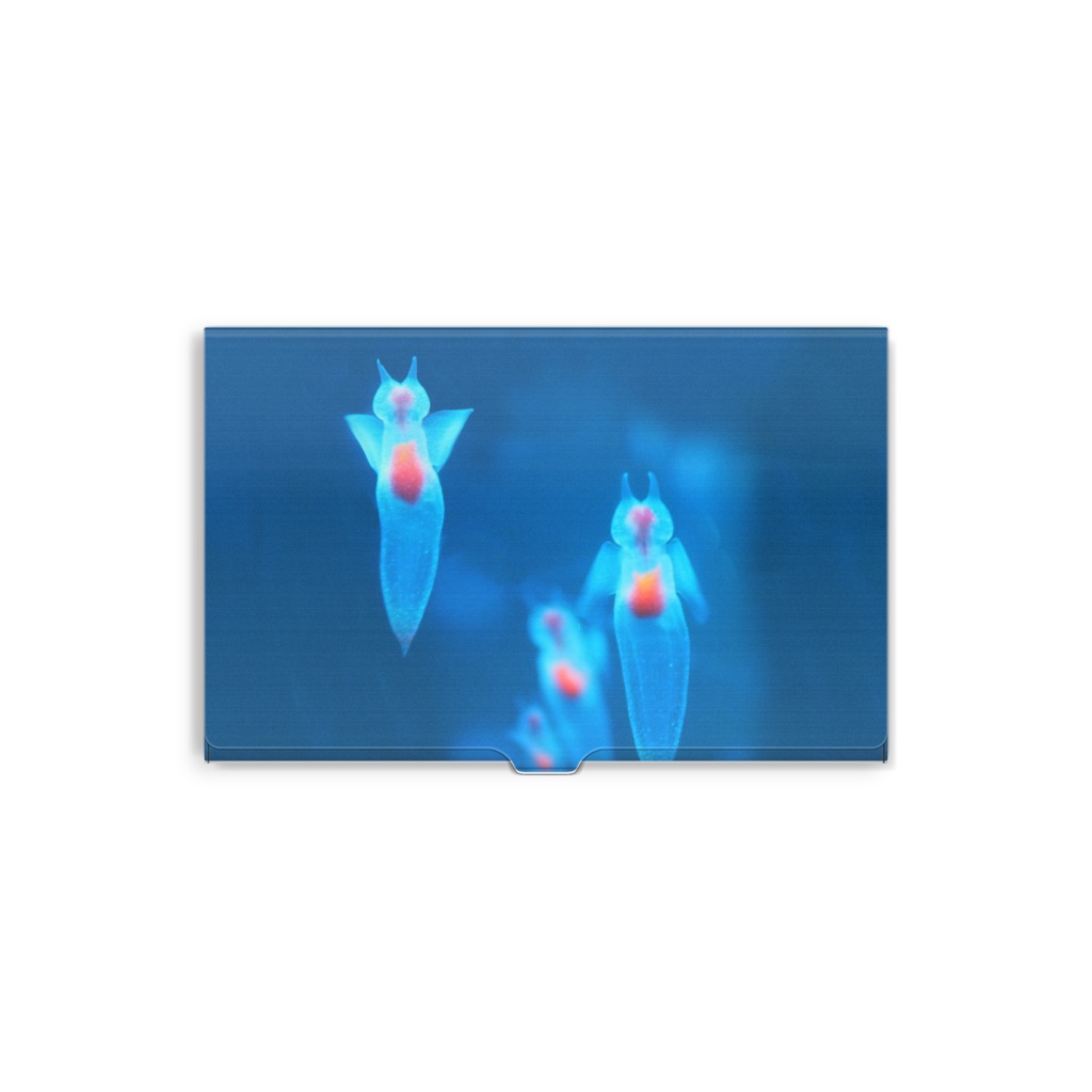 クリオネ、名刺入れ