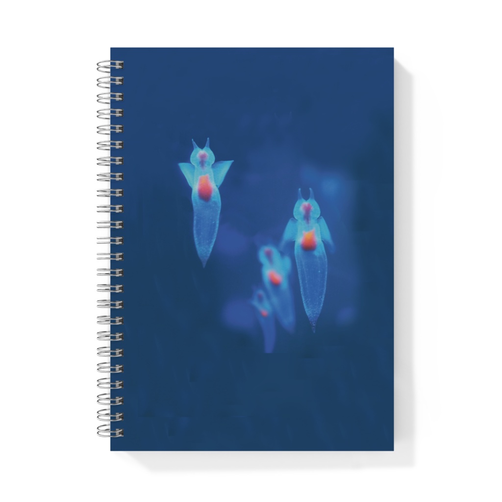 クリオネ、リングノートA5