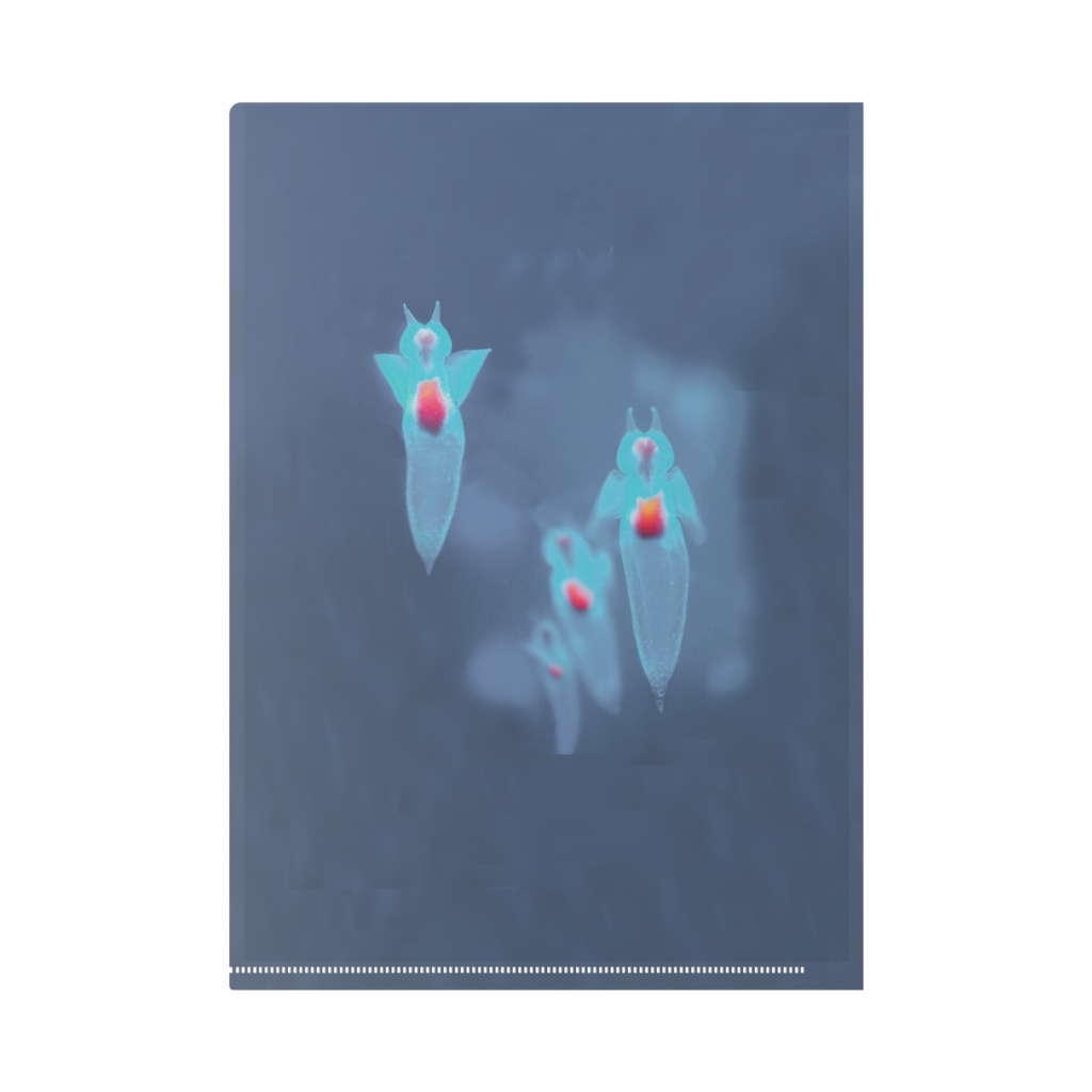 クリオネ、クリアファイルA4