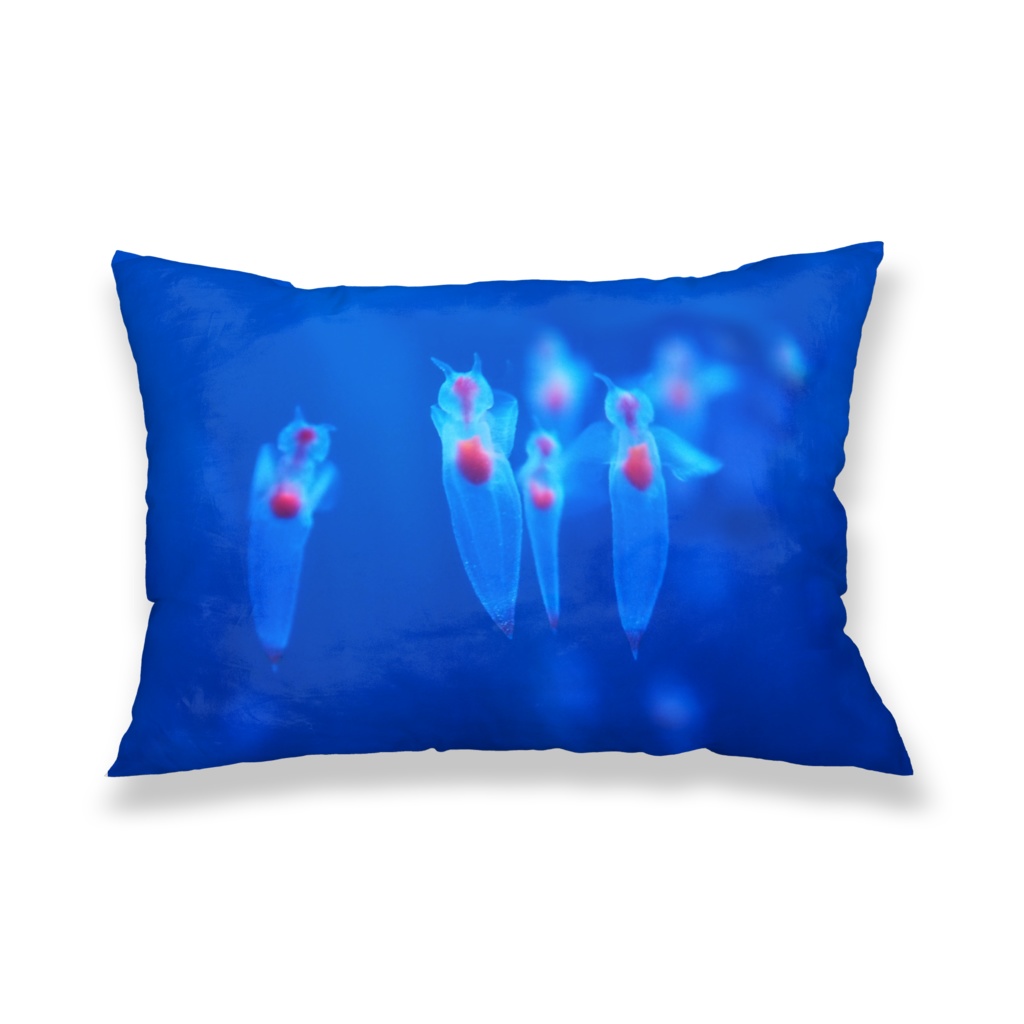 クリオネ、枕カバー