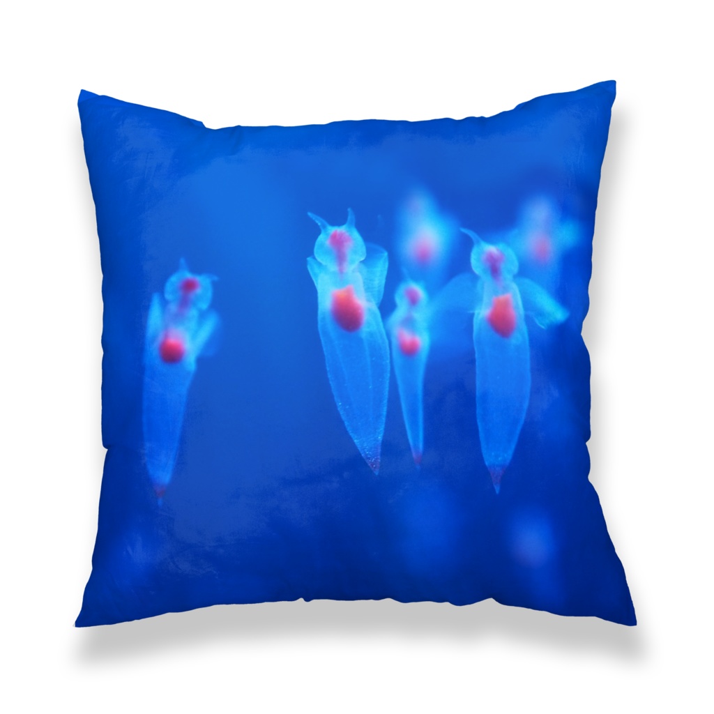 クリオネ、クッションカバー