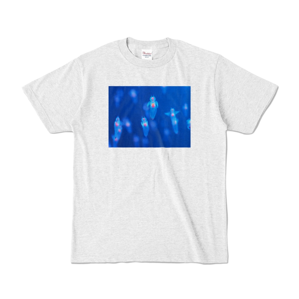 クリオネ、カラーTシャツ、アッシュ