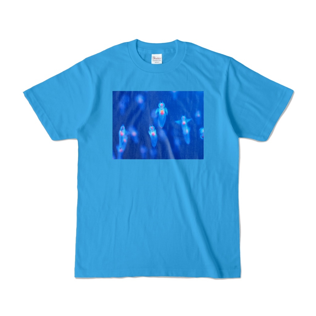 クリオネ、カラーTシャツ、ターコイズ