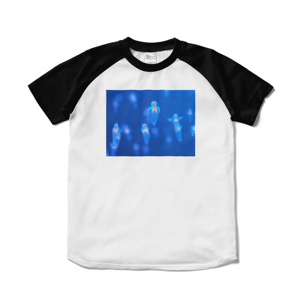 クリオネ、ラグランTシャツ、ブラック