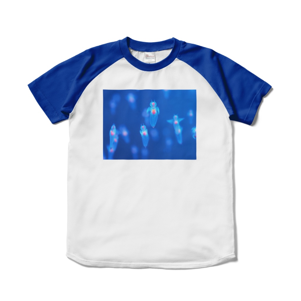 クリオネ、ラグランTシャツ、ロイヤルブルー