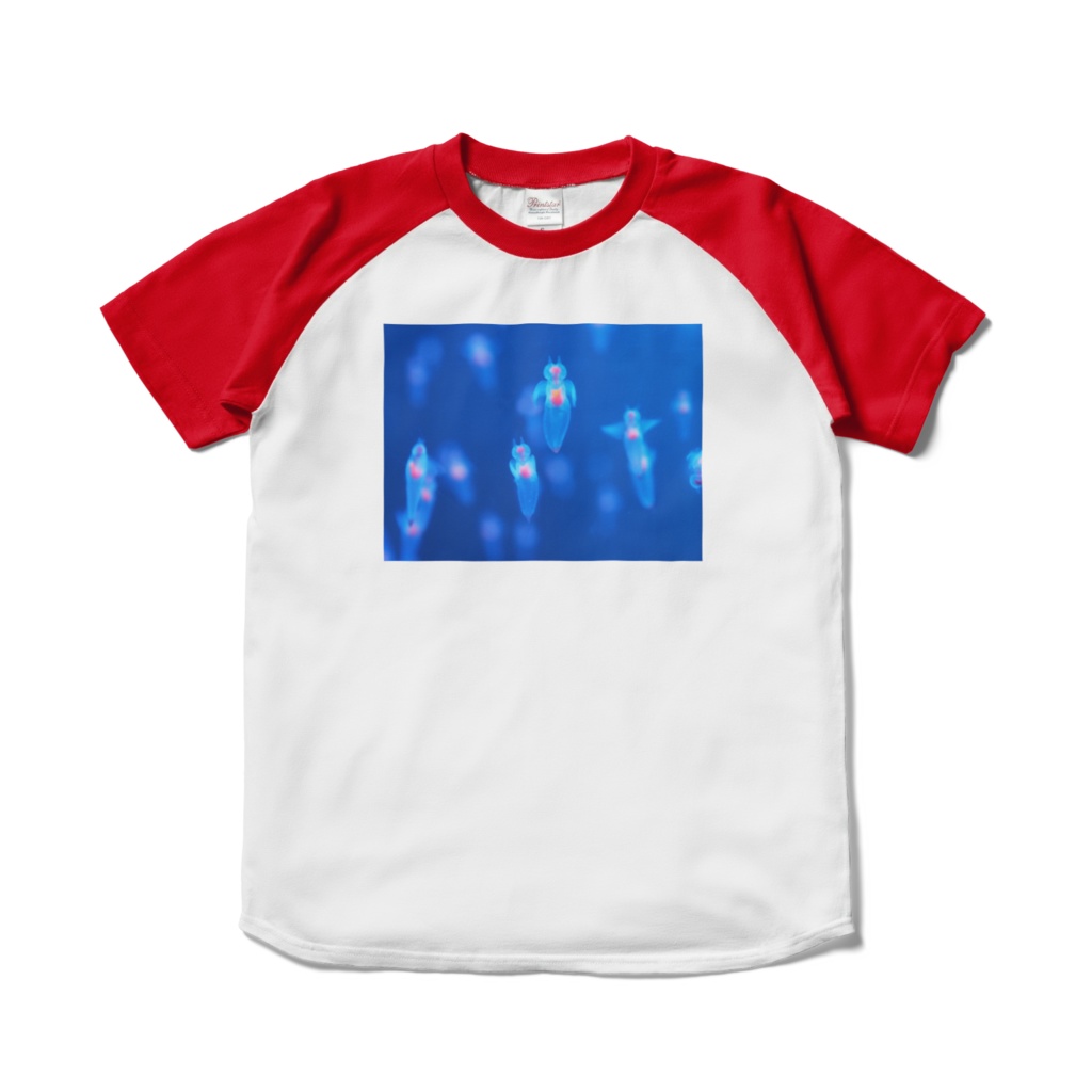 クリオネ、ラグランTシャツ、レッド