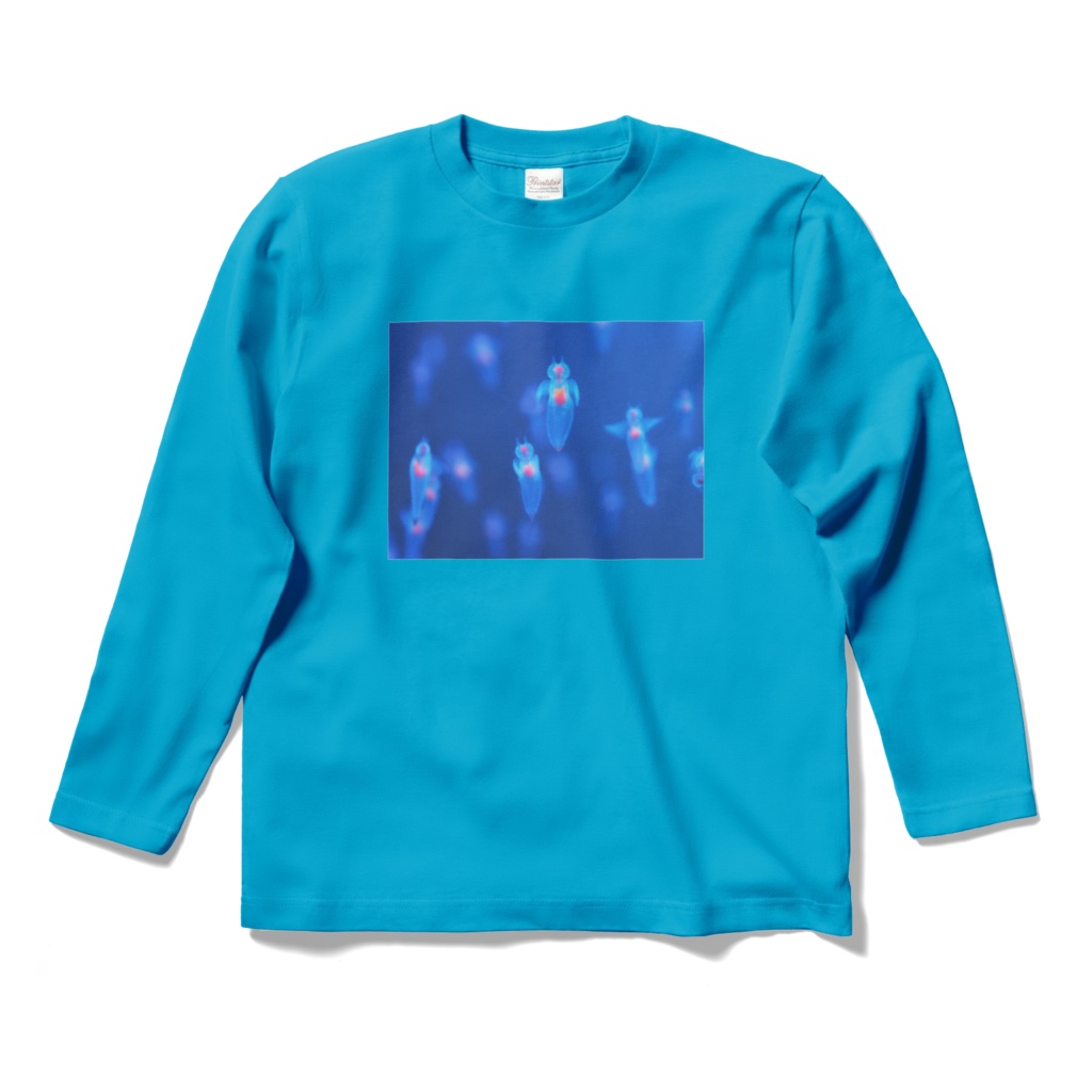 クリオネ、ロングスリーブTシャツ、ターコイズ