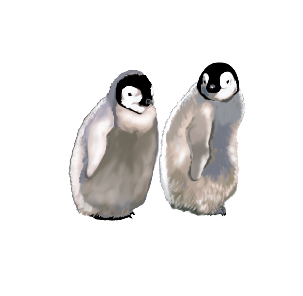 モフモフ子ペンギン、缶バッジ