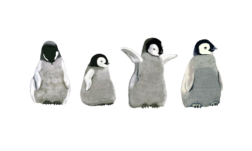 モフモフ赤ちゃんペンギン,マグカップ