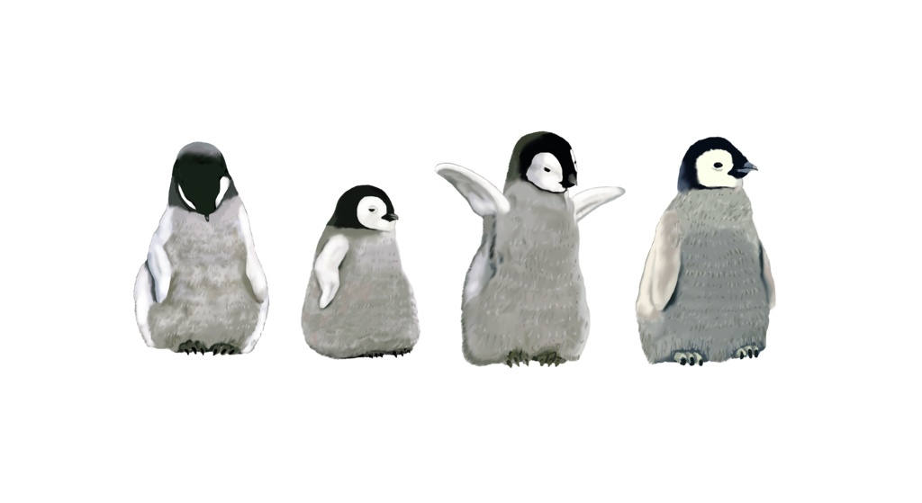 モフモフ赤ちゃんペンギン、マスキングテープ